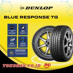 DunlopBlueResponse